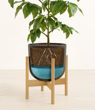 Load image into Gallery viewer, Stone Black stand:bamboo