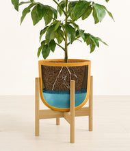 Load image into Gallery viewer, Sunset Orange stand:bamboo