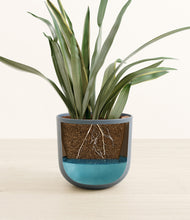 Load image into Gallery viewer, Iron Gray