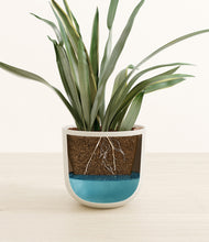 Load image into Gallery viewer, Natural Bamboo