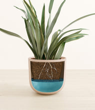 Load image into Gallery viewer, Sandy Pink