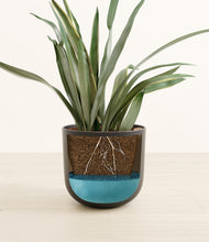 Load image into Gallery viewer, Stone Black