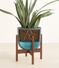 Load image into Gallery viewer, Iron Gray stand:walnut