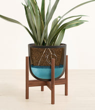 Load image into Gallery viewer, Stone Black stand:walnut