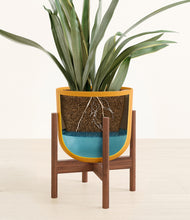 Load image into Gallery viewer, Sunset Orange stand:walnut