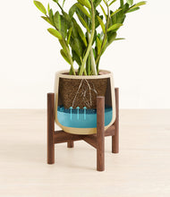 Load image into Gallery viewer, Almond Green stand:walnut