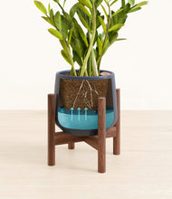 Load image into Gallery viewer, Deep Navy stand:walnut