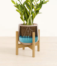 Load image into Gallery viewer, Eternal Gray stand:bamboo