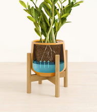 Load image into Gallery viewer, Mustard stand:bamboo