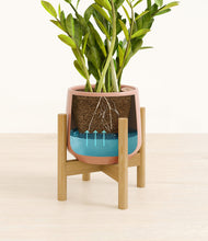 Load image into Gallery viewer, Calm Rose stand:bamboo