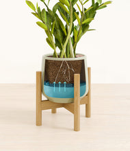 Load image into Gallery viewer, Turquoise stand:bamboo