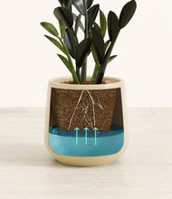 Load image into Gallery viewer, Almond Green