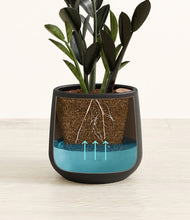 Load image into Gallery viewer, Black