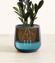 Load image into Gallery viewer, Deep Navy