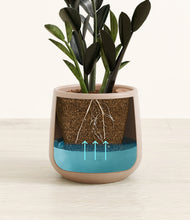 Load image into Gallery viewer, Eternal Gray