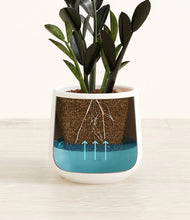 Load image into Gallery viewer, White