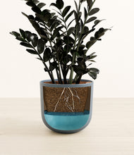 Load image into Gallery viewer, Iron Gray