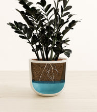 Load image into Gallery viewer, Natural Bamboo