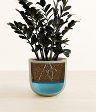 Load image into Gallery viewer, Sage Green