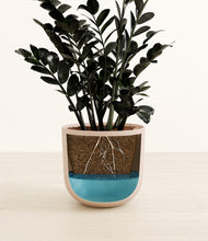 Load image into Gallery viewer, Sandy Pink