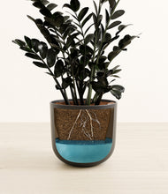 Load image into Gallery viewer, Stone Black