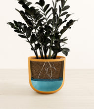 Load image into Gallery viewer, Sunset Orange