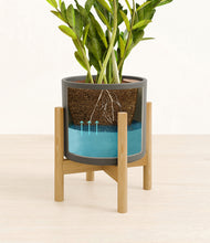 Load image into Gallery viewer, Dark Olive stand:bamboo