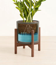 Load image into Gallery viewer, Dark Olive stand:walnut