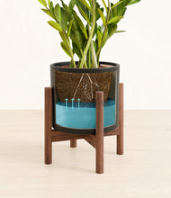 Load image into Gallery viewer, Black stand:walnut