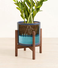 Load image into Gallery viewer, Deep Navy stand:walnut