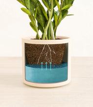 Load image into Gallery viewer, Cream