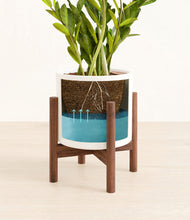 Load image into Gallery viewer, White stand:walnut