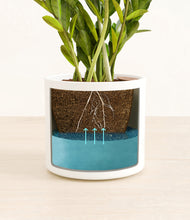 Load image into Gallery viewer, White