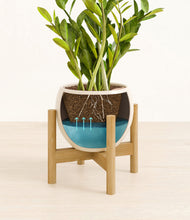 Load image into Gallery viewer, Shiny EggWhite stand:bamboo