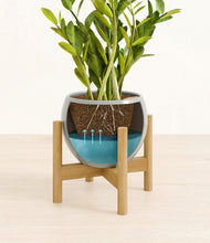 Load image into Gallery viewer, Deep Ocean stand:bamboo