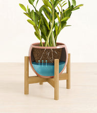 Load image into Gallery viewer, Calm Rose stand:bamboo