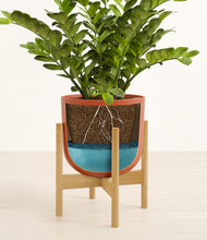 Load image into Gallery viewer, Earth Red stand:bamboo