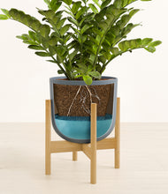 Load image into Gallery viewer, Iron Gray stand:bamboo