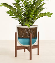 Load image into Gallery viewer, Natural Bamboo stand:walnut