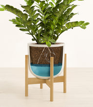 Load image into Gallery viewer, Natural Bamboo stand:bamboo