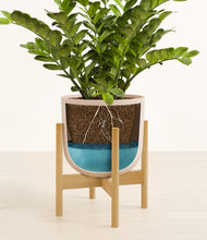 Load image into Gallery viewer, Sandy Pink stand:bamboo