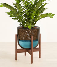 Load image into Gallery viewer, Stone Black stand:walnut