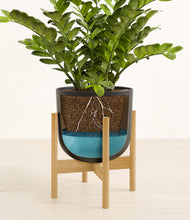 Load image into Gallery viewer, Stone Black stand:bamboo