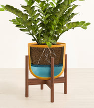 Load image into Gallery viewer, Sunset Orange stand:walnut