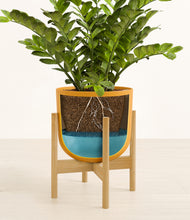 Load image into Gallery viewer, Sunset Orange stand:bamboo