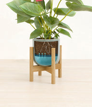 Load image into Gallery viewer, Reactive Aqua stand:bamboo