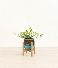 Load image into Gallery viewer, Reactive Aqua stand:bamboo