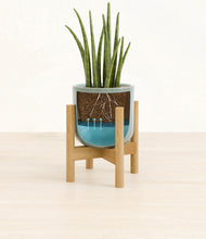 Load image into Gallery viewer, Reactive Aqua stand:bamboo