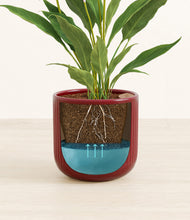 Load image into Gallery viewer, Striped Cherry Red