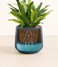 Load image into Gallery viewer, Deep Navy